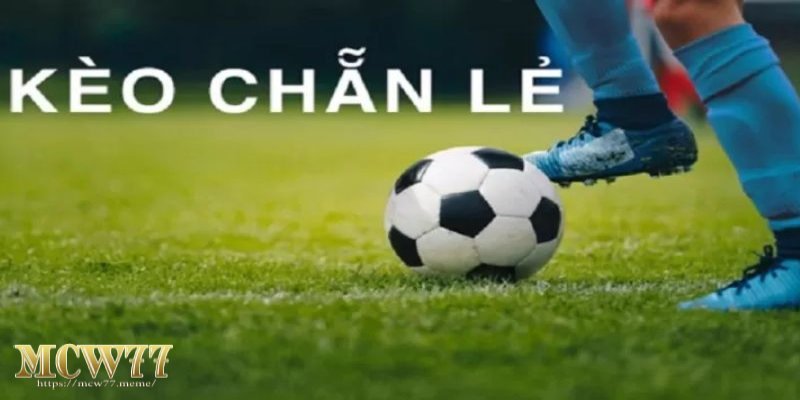 Chiến thuật cá cược hiệu quả với kèo chẵn lẻ